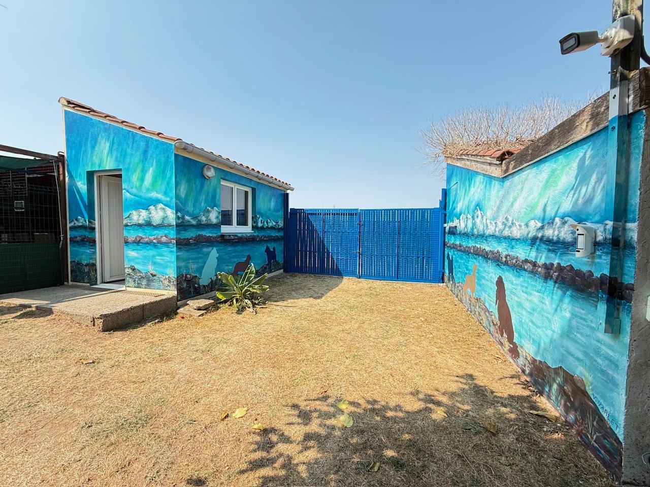 Bâche / mural